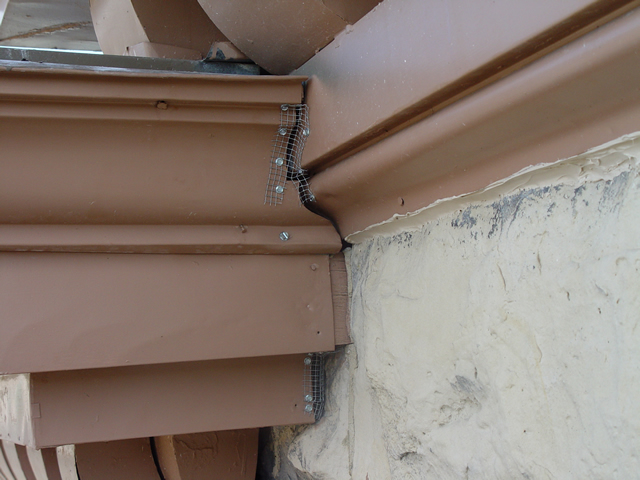 Allstate Animal Control, bat problem solved by barriers after venting